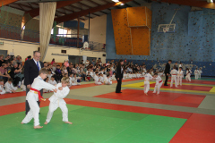 Judo-Open-de-Pamiers-2025-246