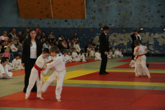 Judo-Open-de-Pamiers-2025-247