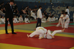 Judo-Open-de-Pamiers-2025-252