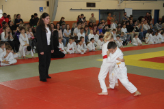 Judo-Open-de-Pamiers-2025-254