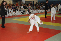 Judo-Open-de-Pamiers-2025-255