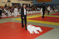 Judo-Open-de-Pamiers-2025-256