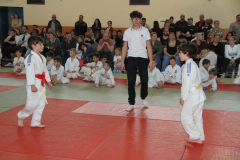 Judo-Open-de-Pamiers-2025-257