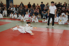 Judo-Open-de-Pamiers-2025-258