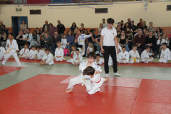 Judo-Open-de-Pamiers-2025-259