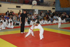 Judo-Open-de-Pamiers-2025-260