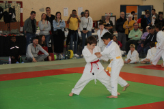 Judo-Open-de-Pamiers-2025-264