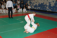 Judo-Open-de-Pamiers-2025-267