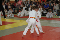 Judo-Open-de-Pamiers-2025-268