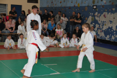 Judo-Open-de-Pamiers-2025-270
