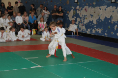 Judo-Open-de-Pamiers-2025-271