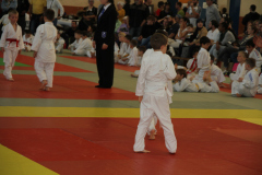 Judo-Open-de-Pamiers-2025-272