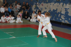 Judo-Open-de-Pamiers-2025-273