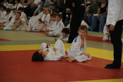 Judo-Open-de-Pamiers-2025-274