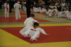 Judo-Open-de-Pamiers-2025-276