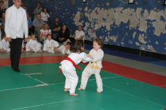 Judo-Open-de-Pamiers-2025-278