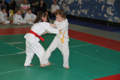 Judo-Open-de-Pamiers-2025-279