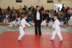 Judo-Open-de-Pamiers-2025-283