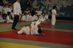 Judo-Open-de-Pamiers-2025-285