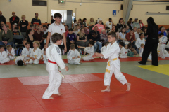 Judo-Open-de-Pamiers-2025-288