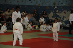 Judo-Open-de-Pamiers-2025-290