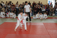 Judo-Open-de-Pamiers-2025-291
