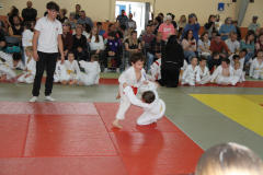 Judo-Open-de-Pamiers-2025-292