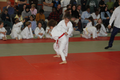 Judo-Open-de-Pamiers-2025-294