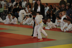 Judo-Open-de-Pamiers-2025-296