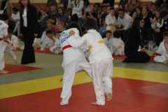 Judo-Open-de-Pamiers-2025-297