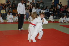 Judo-Open-de-Pamiers-2025-298
