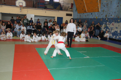 Judo-Open-de-Pamiers-2025-300