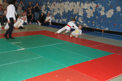 Judo-Open-de-Pamiers-2025-301