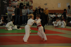 Judo-Open-de-Pamiers-2025-302