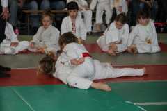 Judo-Open-de-Pamiers-2025-305