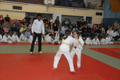 Judo-Open-de-Pamiers-2025-308