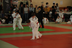 Judo-Open-de-Pamiers-2025-310