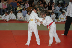 Judo-Open-de-Pamiers-2025-311