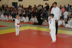 Judo-Open-de-Pamiers-2025-312