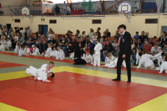 Judo-Open-de-Pamiers-2025-314