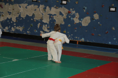 Judo-Open-de-Pamiers-2025-315
