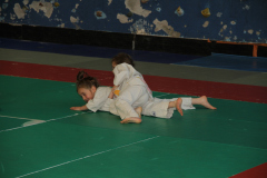 Judo-Open-de-Pamiers-2025-316