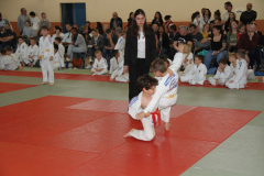 Judo-Open-de-Pamiers-2025-318