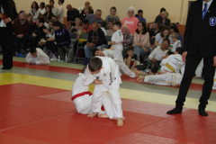 Judo-Open-de-Pamiers-2025-320