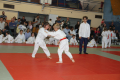 Judo-Open-de-Pamiers-2025-322