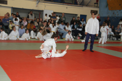 Judo-Open-de-Pamiers-2025-323