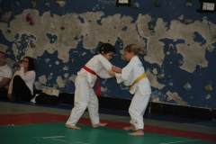 Judo-Open-de-Pamiers-2025-329