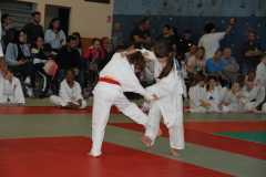 Judo-Open-de-Pamiers-2025-330