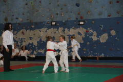 Judo-Open-de-Pamiers-2025-331