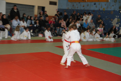 Judo-Open-de-Pamiers-2025-333